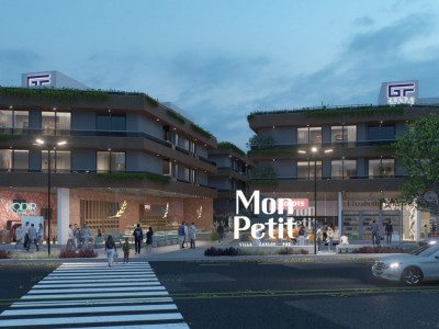 DEPARTAMENTOS EN VENTA POSESION 2026